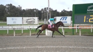 Jockey profesional Pablo Joaqu&iacute;n Menyou de Sarand&iacute; Grande se destac&oacute; ayer con un segundo lugar en Maro&ntilde;as