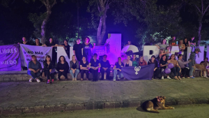 El Colectivo en Lucha Sarand&iacute; Grande cre&oacute; su propio espacio en Facebook