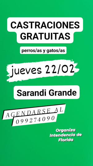 En febrero habr&aacute; castraciones gratuitas en Sarand&iacute; Grande