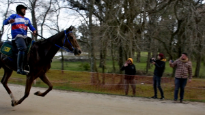 Emocionante final ofreci&oacute; el Ra&iacute;d del Club Residentes y en Sarand&iacute; 365 la compartimos