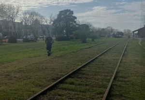 Mantenimiento de espacios verdes en Avda. Artigas de Sarand&iacute; Grande llev&oacute; a cabo el Municipio
