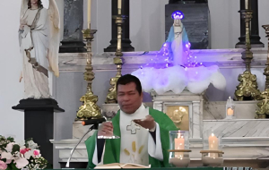 Parroquia Nuestra Se&ntilde;ora del Pilar de Sarand&iacute; Grande celebr&oacute; hoy a la Virgen de la Medalla Milagrosa