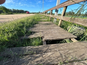 Edil Nicol&aacute;s Vaz plante&oacute; ante la Junta las malas condiciones de la pasarela del Lago de Sarand&iacute; Grande
