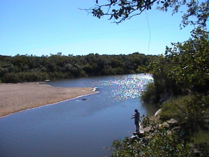 Importante presencia de turistas en Polanco durante Turismo