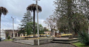 Edil plante&oacute; preocupaci&oacute;n por el estado de la Plaza Gallinal y la inacci&oacute;n ante el avance del &ldquo;picudo rojo&rdquo; a pocos meses del bicentenario de la Batalla de Sarand&iacute;