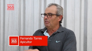 Emprendimiento ap&iacute;cola mantiene viva una tradici&oacute;n familiar a pocos kil&oacute;metros de Sarand&iacute; Grande