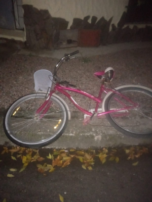 Apareci&oacute; una bicicleta robada