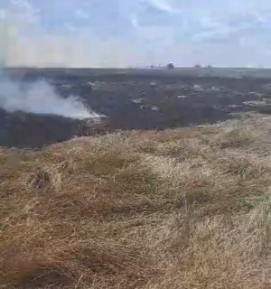 Bomberos de Sarand&iacute; Grande apag&oacute; r&aacute;pidamente incendio de dos hect&aacute;reas de campo en Camino al Obelisco