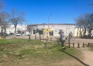 Mantenimiento de espacios verdes en Avda. Artigas llev&oacute; a cabo el Municipio de Sarand&iacute; Grande