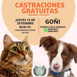 Jornada de castraciones gratuitas para perros y gatos habr&aacute; en Go&ntilde;i