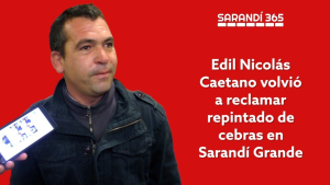 Edil Nicol&aacute;s Caetano reclam&oacute; repintado de cebras en centro de Sarand&iacute; Grande en la Junta