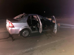 Tr&aacute;nsito enlentecido por accidente entre auto y caballo en Ruta 5 cerca de Florida