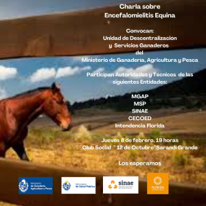 Expertos brindar&aacute;n charla para informar y concientizar sobre Encefalomielitis Equina en Sarand&iacute; Grande
