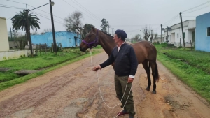 Viborita, Pancha y Soy Atrevido representar&aacute;n al Club Deportivo y Social Sarand&iacute; en ra&iacute;d "Galopando en libertad"