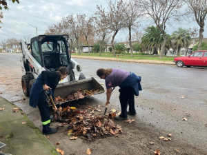 Limpieza y recolecci&oacute;n de hojas en Avda. Artigas llev&oacute; a cabo hoy personal del Municipio de Sarand&iacute; Grande