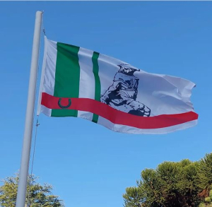 Ayer se expidi&oacute; decreto que oficializa uso de bandera de Sarand&iacute; Grande en oficinas y espacios p&uacute;blicos