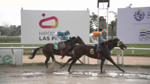 Jockey oriundo de Sarand&iacute; Grande logr&oacute; nueva victoria desde atr&aacute;s y en la recta final en Hip&oacute;dromo de Las Piedras