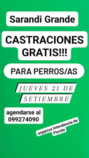 Comenzaron a agendar para castraciones gratuitas en Sarand&iacute; Grande