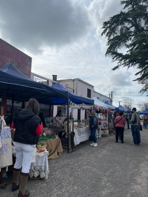 Comenz&oacute; 2da. Feria Artesanal en Bulevar Pasteur de Sarand&iacute; Grande