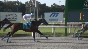 Segundo lugar logr&oacute; jockey oriundo de Sarand&iacute; Grande en el premio "Pretty Lake" en Maro&ntilde;as
