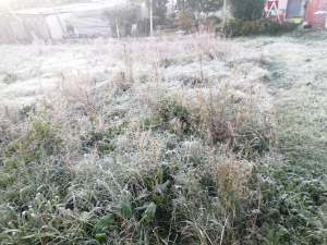 Heladas y 2&deg; de temperatura en &eacute;ste momento en Sarand&iacute; Grande