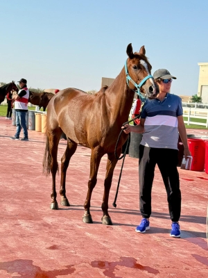 Joven jinete Santiago Ant&uacute;nez de Sarand&iacute; Grande corri&oacute; ayer su primer enduro de 100 km en Emiratos &Aacute;rabes Unidos