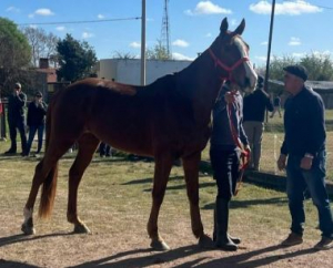 Dos jinetes representar&aacute;n al CDSS de Sarand&iacute; Grande en ra&iacute;d de San Ram&oacute;n