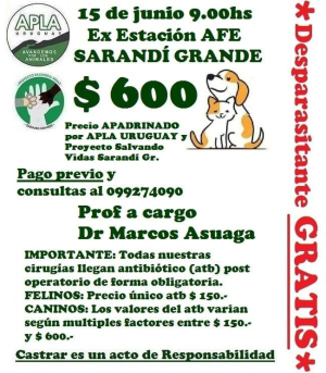 Proyecto "Salvando Vidas" organiza jornada de castraci&oacute;n econ&oacute;mica el 15 de junio en Sarand&iacute; Grande