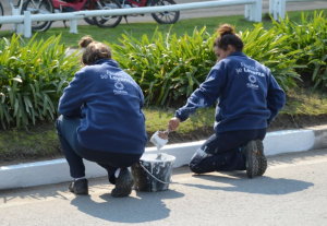 Comenzar&aacute;n el lunes inscripciones para programa "Jornales Solidarios"