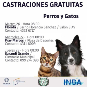 Jornada de castraciones gratuitas en Sarand&iacute; Grande habr&aacute; el 28 de septiembre