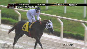 Jockey oriundo de Sarand&iacute; Grande gan&oacute; ayer su carrera N&deg; 100 en Hip&oacute;dromo de Maro&ntilde;as