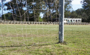 Garufa, Fuhrer, Laneros, B. de Los Troncos y Kamorra lideran campeonato barrial de Sarand&iacute; Grande