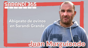 Repetidos abigeatos atentan contra criador intensivo de ovejas de pedrigee en Sarand&iacute; Grande