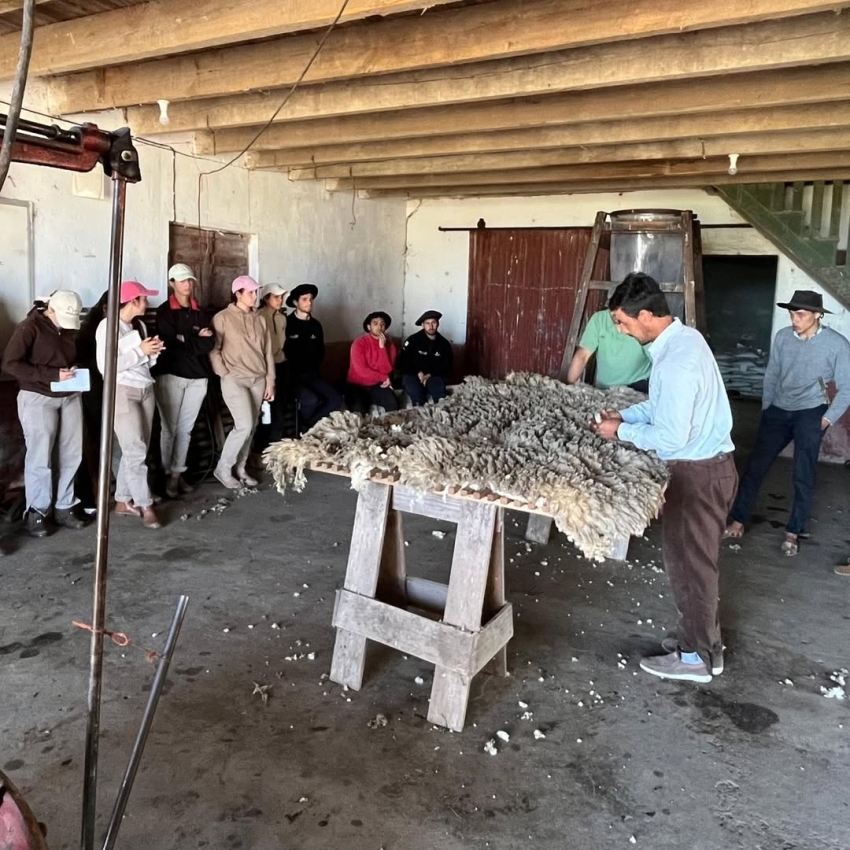 Estudiantes de Escuela Agraria de Sarandí Grande participaron de jornada práctica sobre manejo ovino y esquila