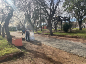 Se llevaron a cabo tareas de mantenimiento y limpieza en Avda. Artigas y en Plaza Pis&oacute;n