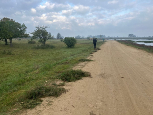 Tareas de mantenimiento hoy junto al Lago Artificial T&oacute;mas Berreta de Sarand&iacute; Grande