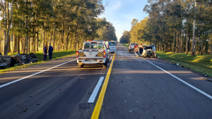 Una mujer muri&oacute; tras accidente hoy en Ruta 5