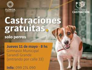Nueva jornada de castraci&oacute;n de perros en Sarand&iacute; Grande