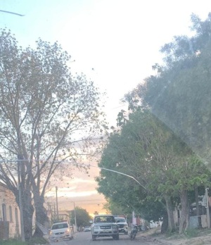 Gran operativo con varios detenidos en Sarand&iacute; Grande