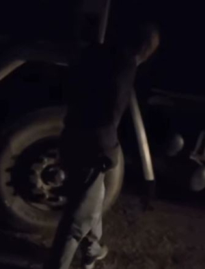Chofer de cami&oacute;n de ganado alcoholizado fue detenido haciendo zigzag en Ruta 5 a 2 km de Go&ntilde;i