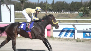 Jockey oriundo de Sarand&iacute; Grande gan&oacute; ayer premio "Gata de Verano" en Hip&oacute;dromo de Las Piedras