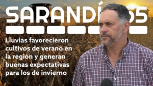 Cosecha de ma&iacute;z alcanz&oacute; rendimientos hist&oacute;ricos este verano en la zona de Sarand&iacute; Grande