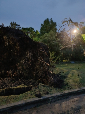 Nueve intervenciones realiz&oacute; Bomberos en Sarand&iacute; Grande por ca&iacute;da de &aacute;rboles y voladuras de techos