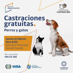 Ma&ntilde;ana habr&aacute; castraciones gratuitas en Gimnasio Municipal de Sarand&iacute; Grande
